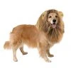 Tipsy Elves Lions Mane Dog Costume