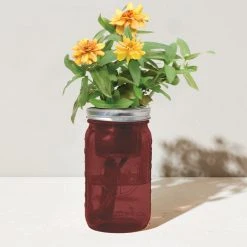 Tipsy Elves Garden Jar - Zinnia Holidays & Occasions