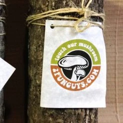 Tipsy Elves Mushroom Oyster Log 6 Tipsy Elves Mushroom Oyster Log