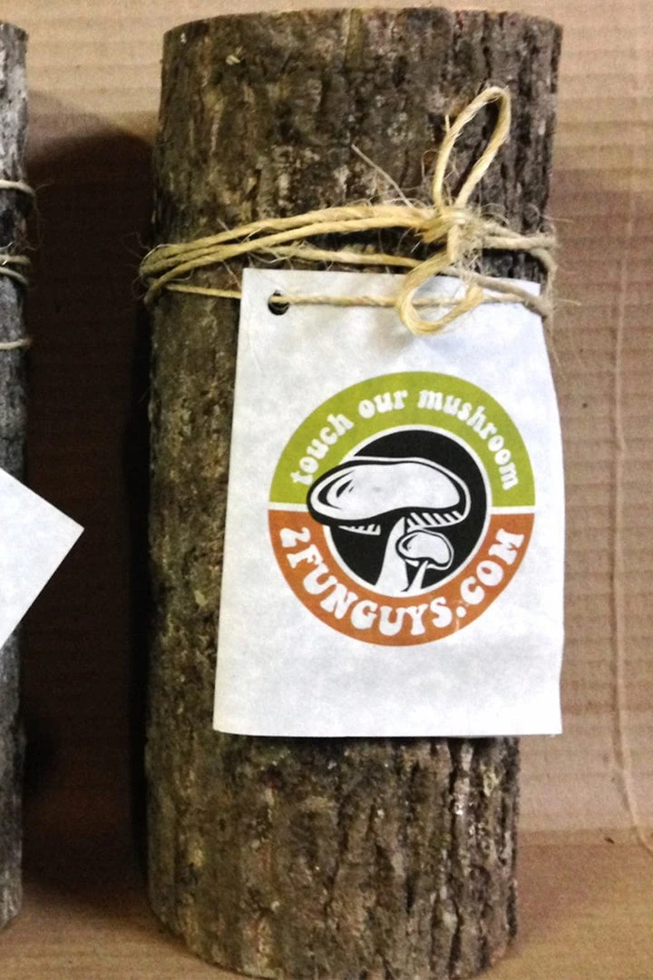 Tipsy Elves Mushroom Oyster Log 4 Tipsy Elves Mushroom Oyster Log