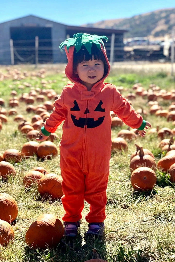 Tipsy Elves Kids & Baby Baby / Toddler Pumpkin Costume 6 Tipsy Elves Kids & Baby Baby / Toddler Pumpkin Costume