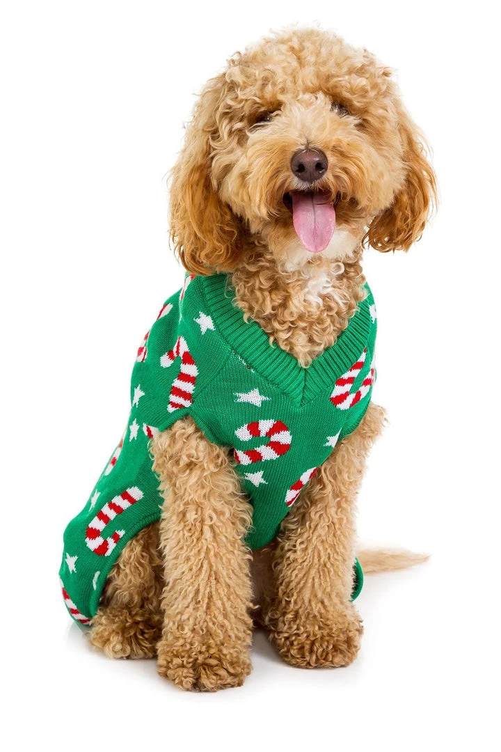 Tipsy Elves Holidays & Occasions Candy Cane Dog Ugly Christmas Sweater 6 Tipsy Elves Holidays & Occasions Candy Cane Dog Ugly Christmas Sweater