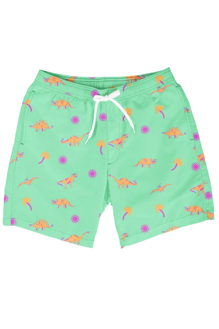 Tipsy Elves Dino Desert Stretch Swim Trunks Men 9 Tipsy Elves Dino Desert Stretch Swim Trunks Men